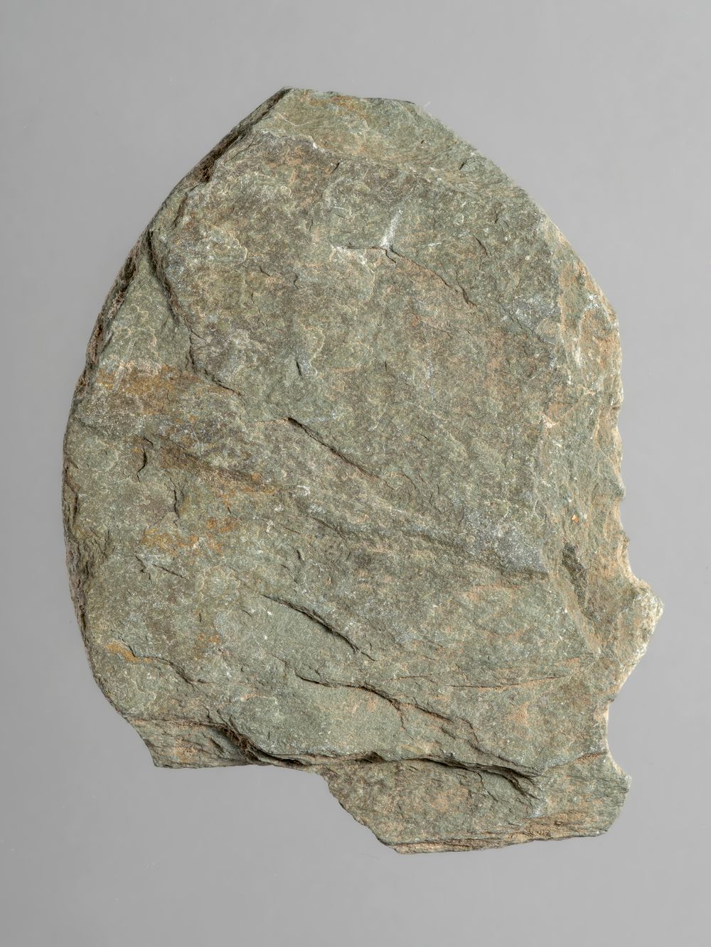 Feuille – fragment de décor architectural