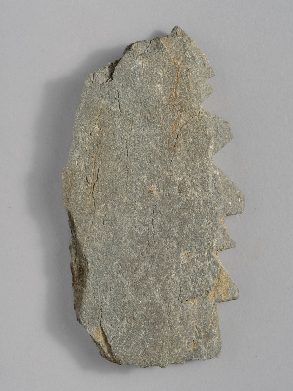 Feuille – fragment de décor architectural