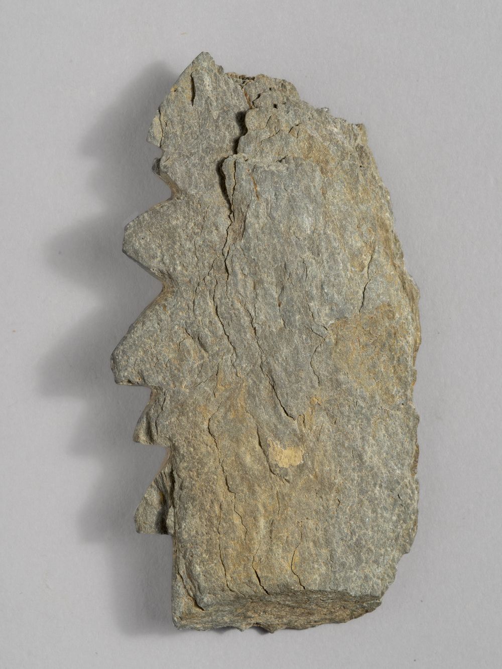 Feuille – fragment de décor architectural