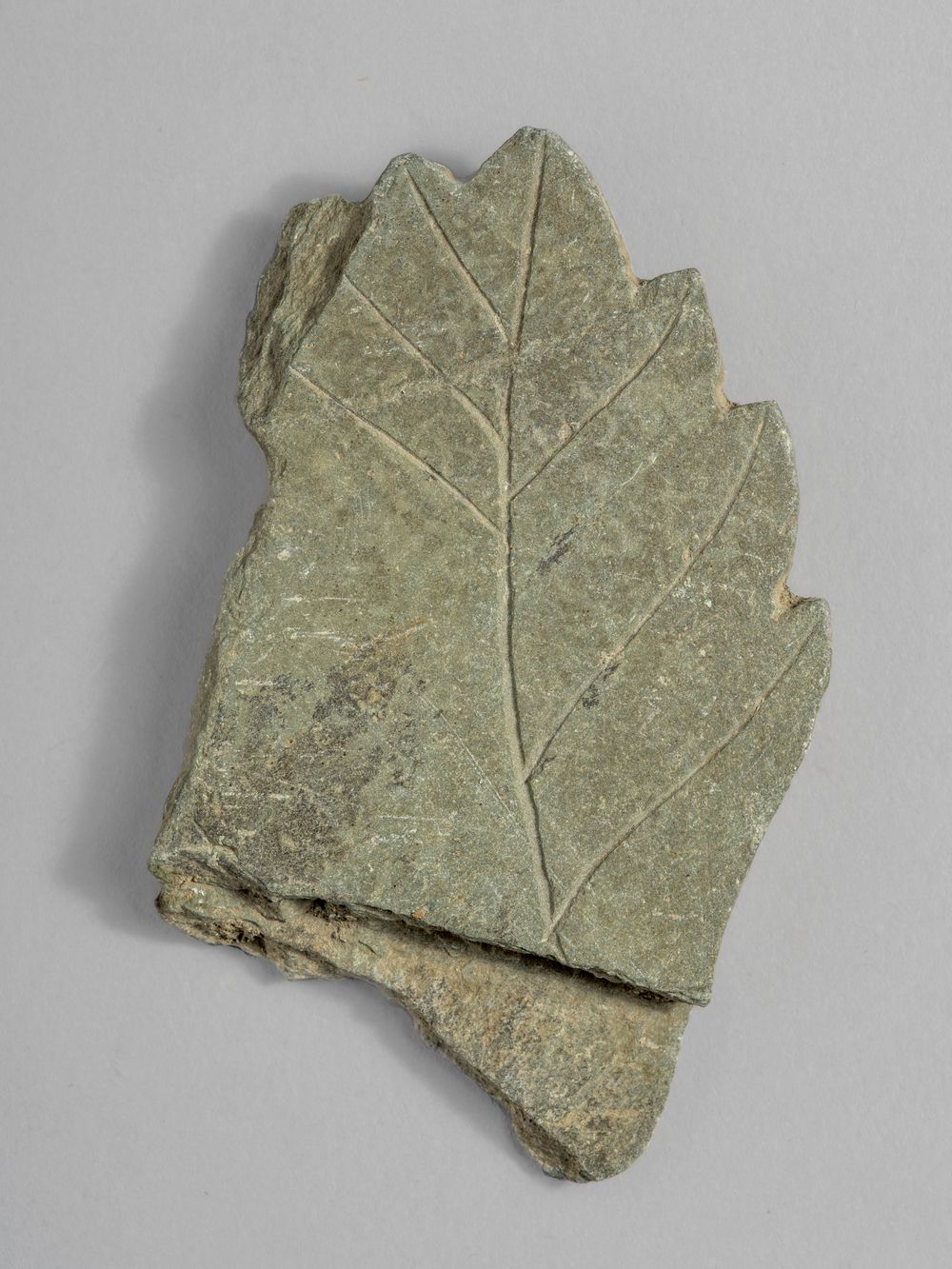 Feuille – fragment de décor architectural