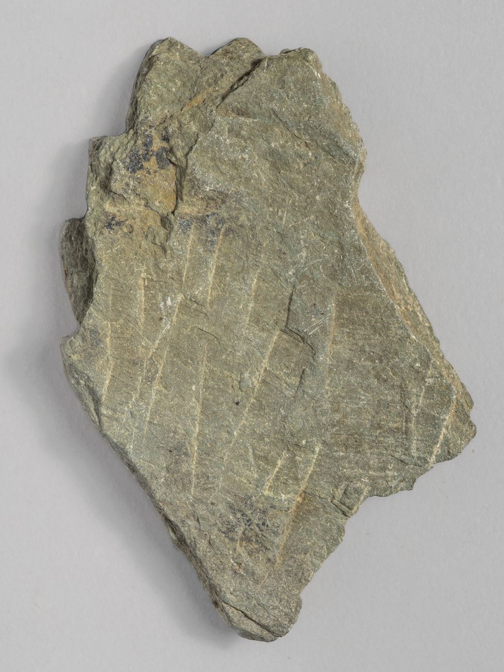 Feuille – fragment de décor architectural