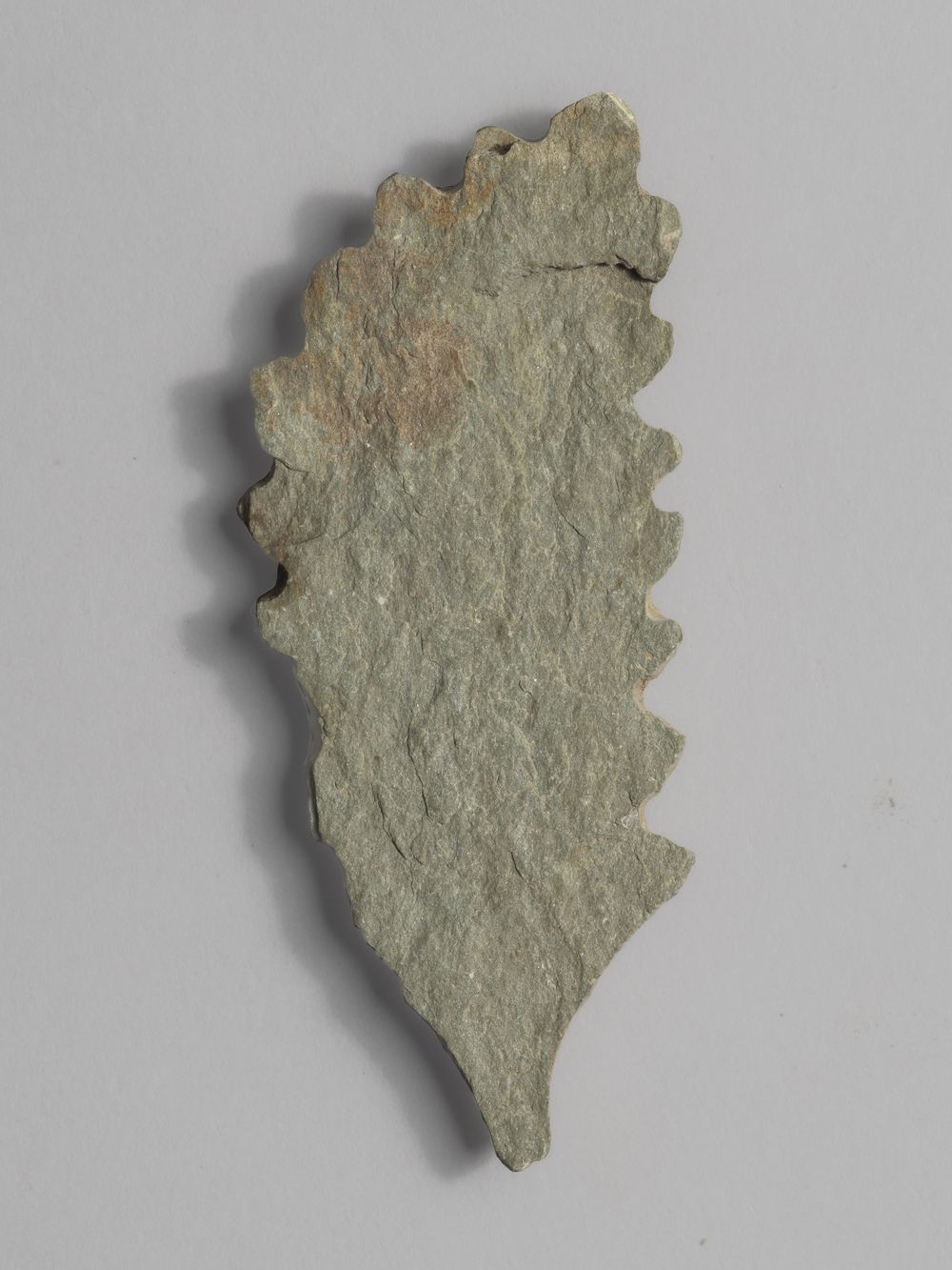 Feuille – fragment de décor architectural