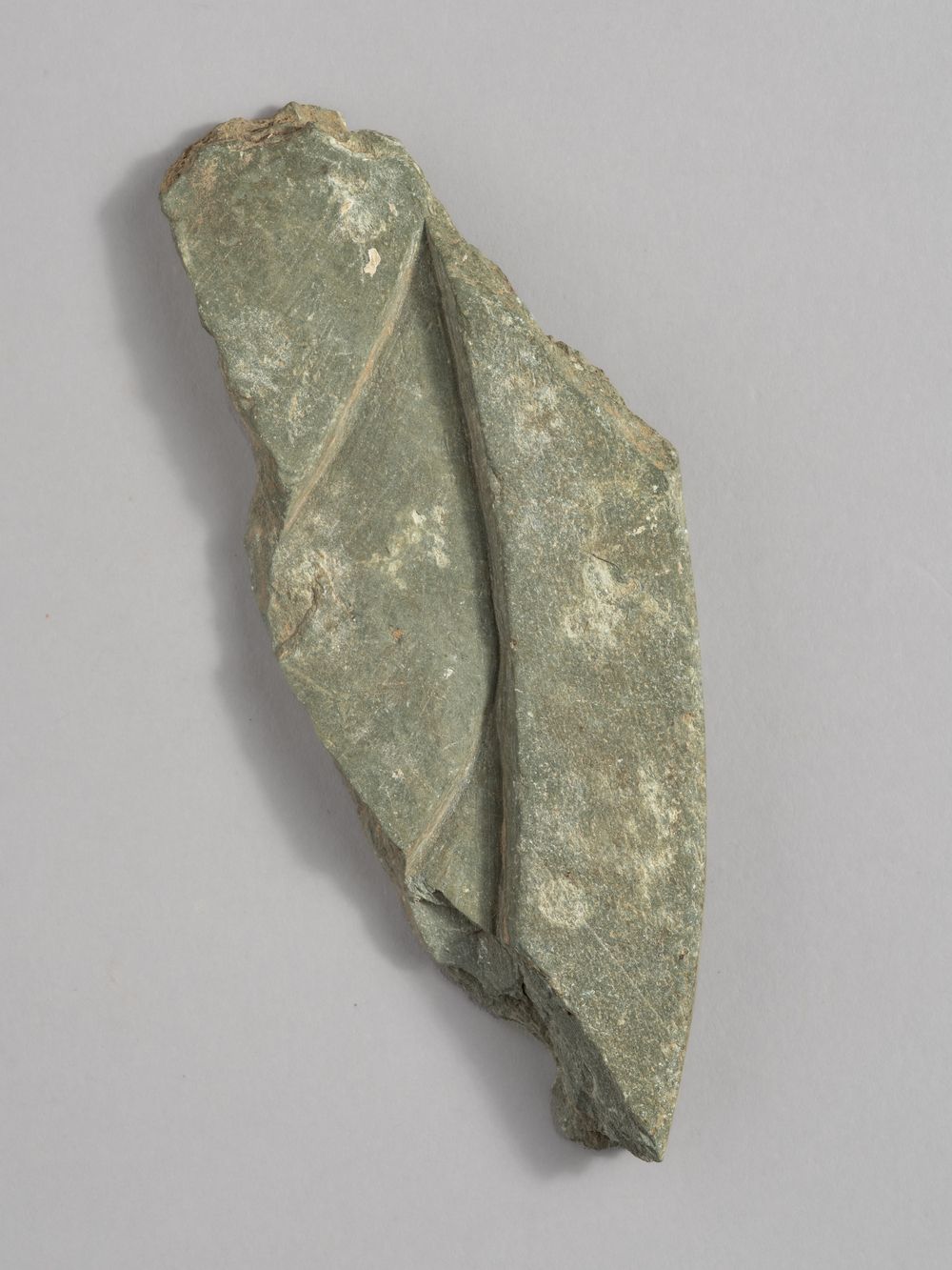 Feuille – fragment de décor architectural