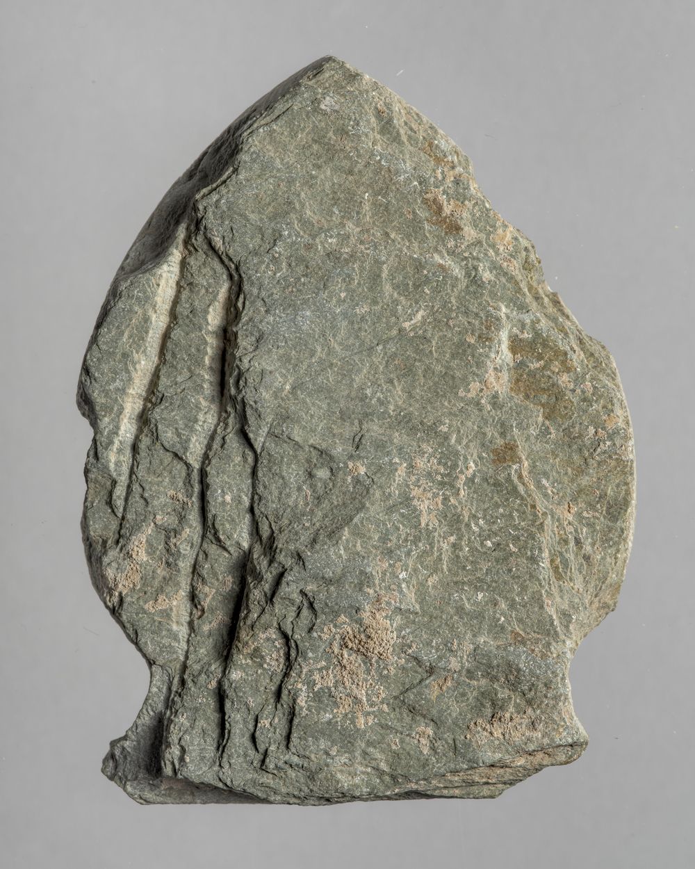 Feuille – fragment de décor architectural
