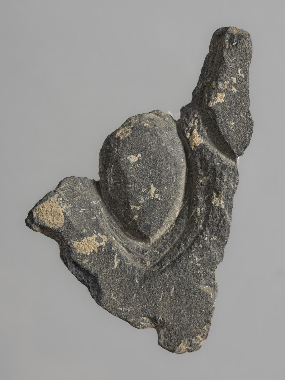 Grappe de raisin – fragment de décor architectural