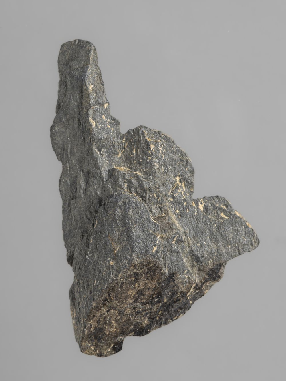 Grappe de raisin – fragment de décor architectural