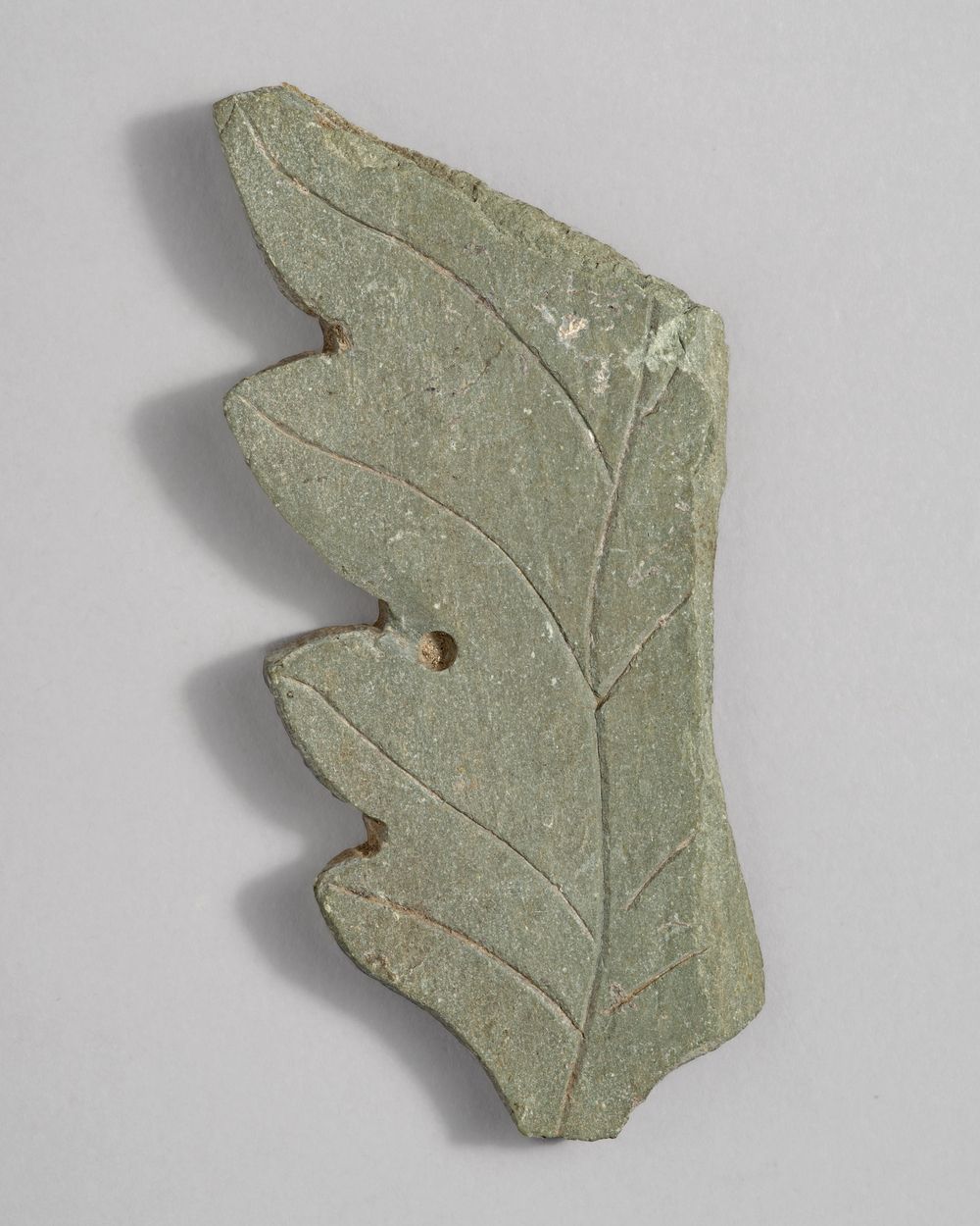 Feuille à limbe crénelé – fragment de décor architectural