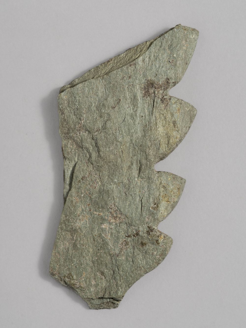 Feuille à limbe crénelé – fragment de décor architectural
