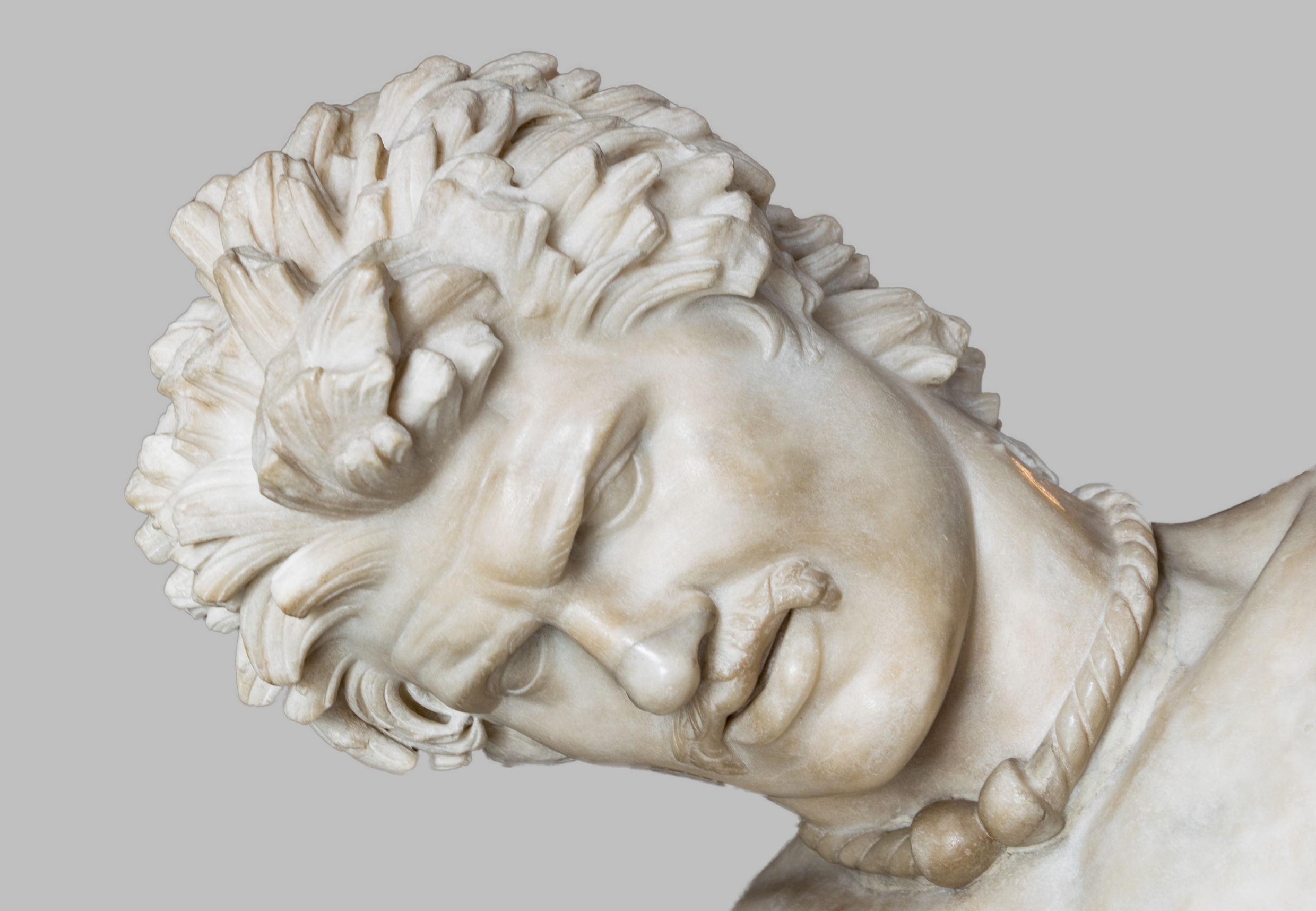 Tête de Gaulois mourant. Rabax63/CC BY-SA/Wikimedia Commons