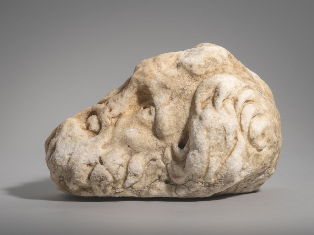 Tête d’homme âgé