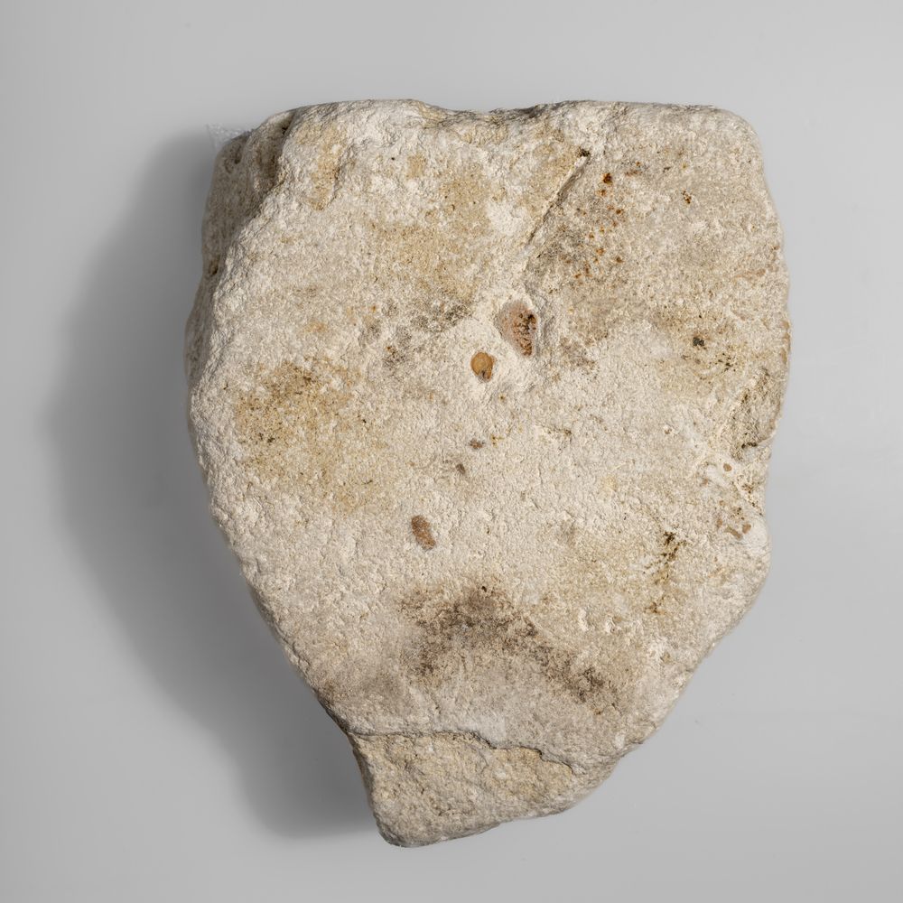 Fragment d’une plaque sculptée
