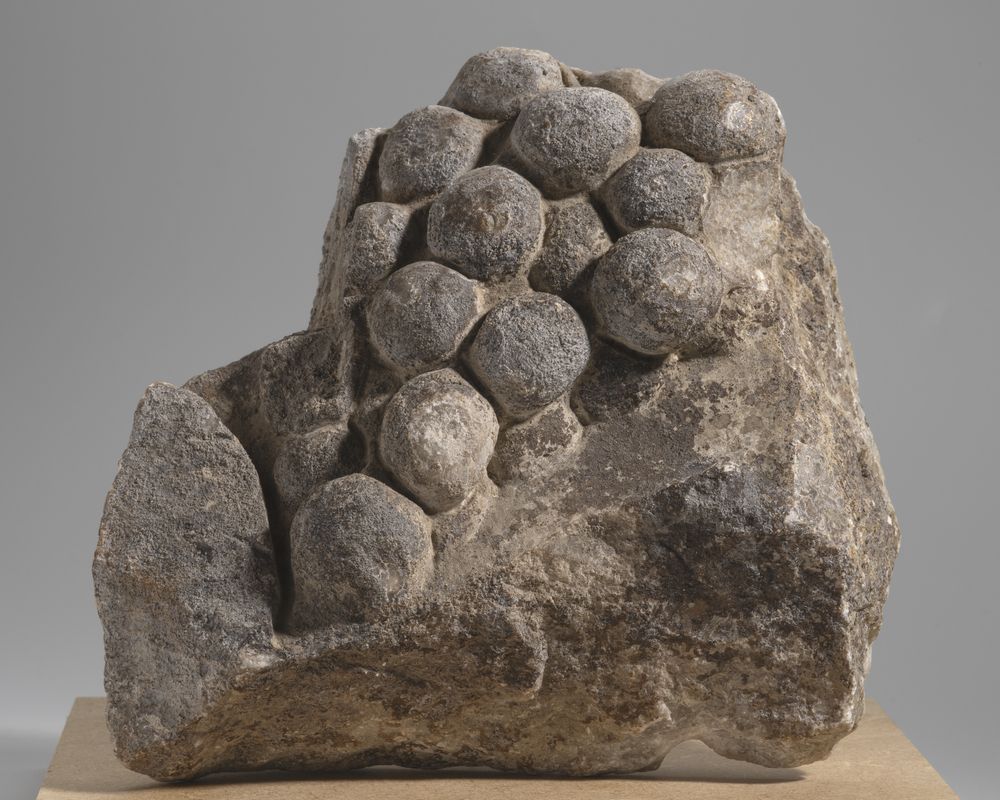 Fragment de décor architectural à la grappe de raisin