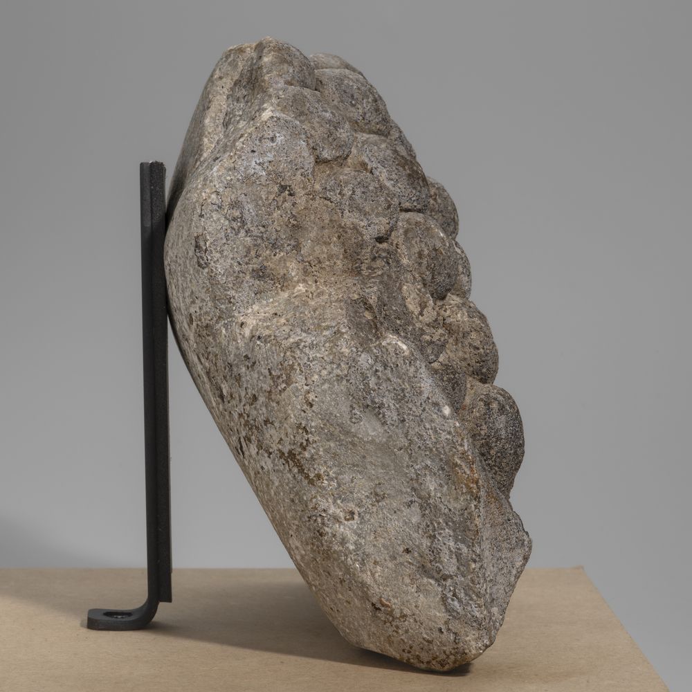 Fragment de décor architectural à la grappe de raisin