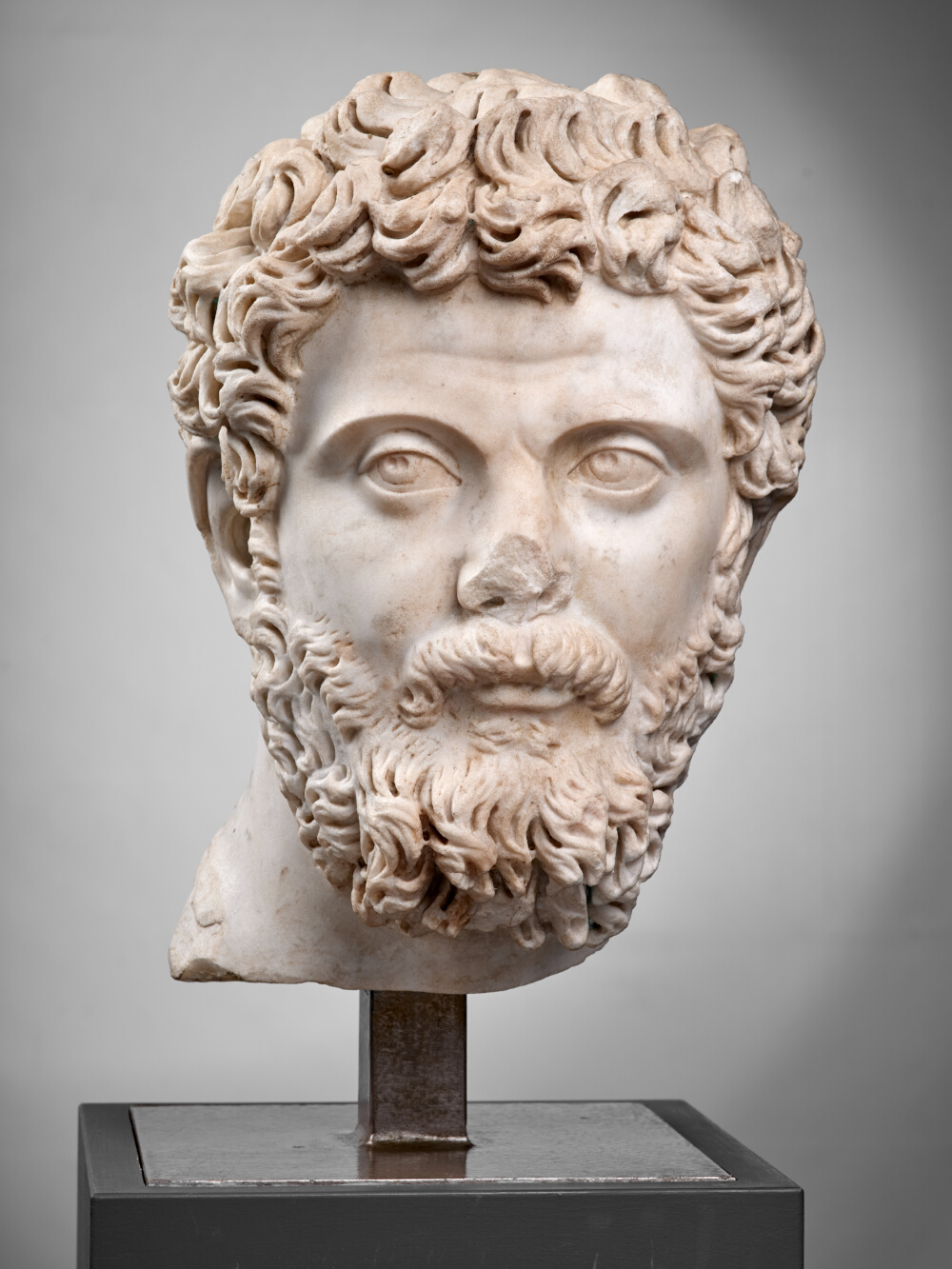 Tête de Septime Sévère