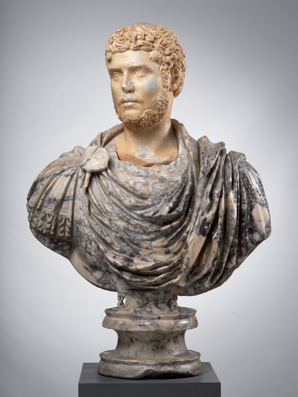 Tête d’homme, aujourd’hui montée sur un buste en pavonazzetto