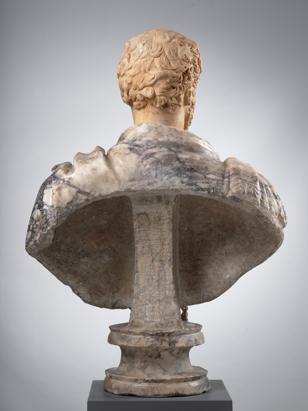 Tête d’homme, aujourd’hui montée sur un buste en pavonazzetto