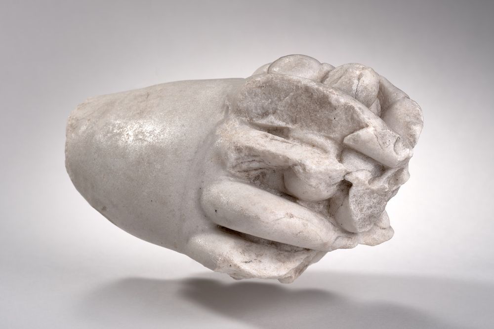 Main tenant une grappe de raisin