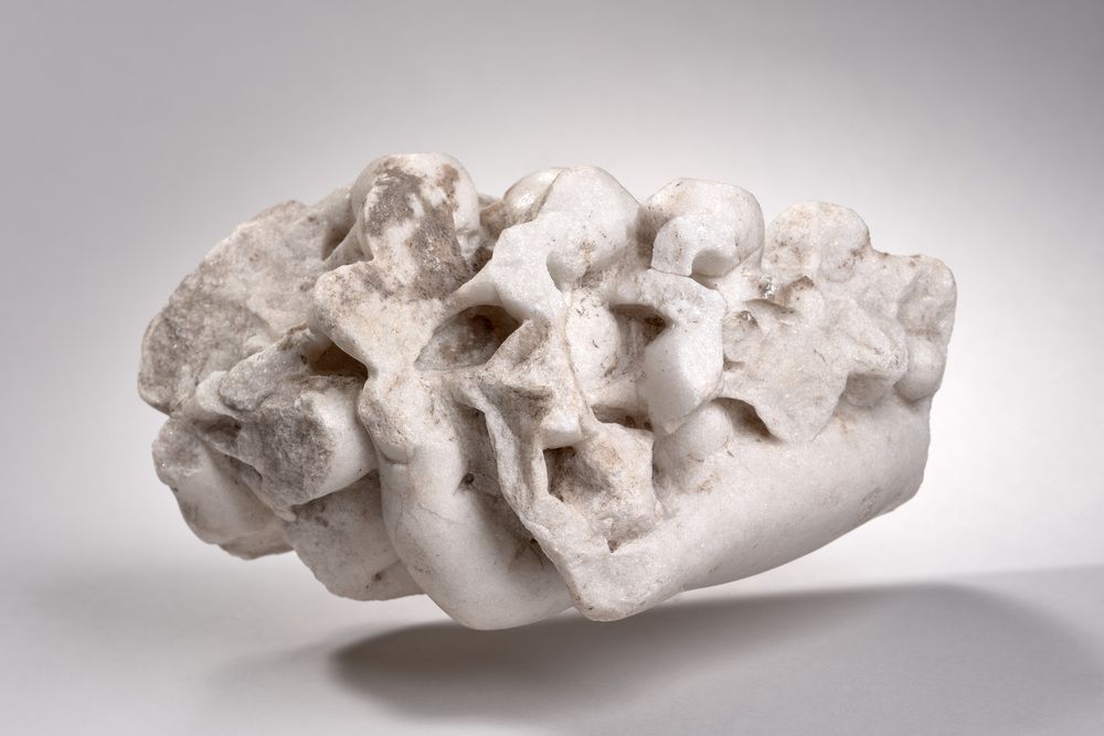 Main tenant une grappe de raisin