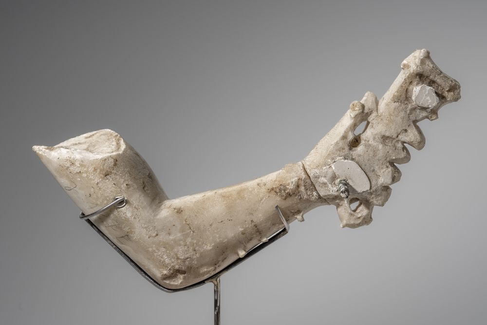 Bras avec main tenant une corne à boire