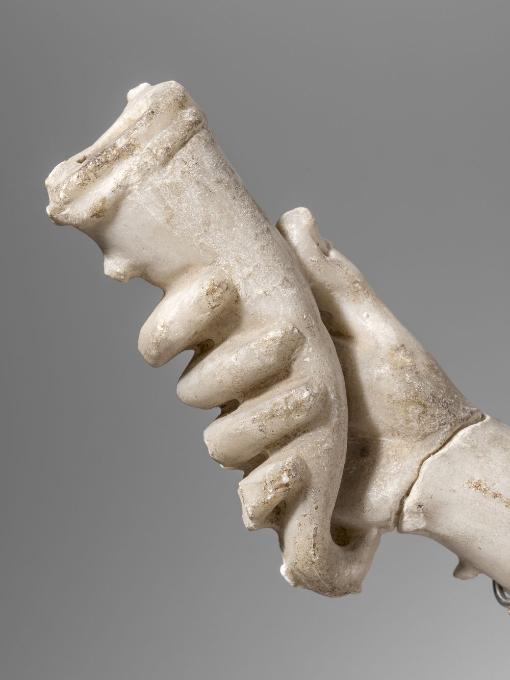 Bras avec main tenant une corne à boire