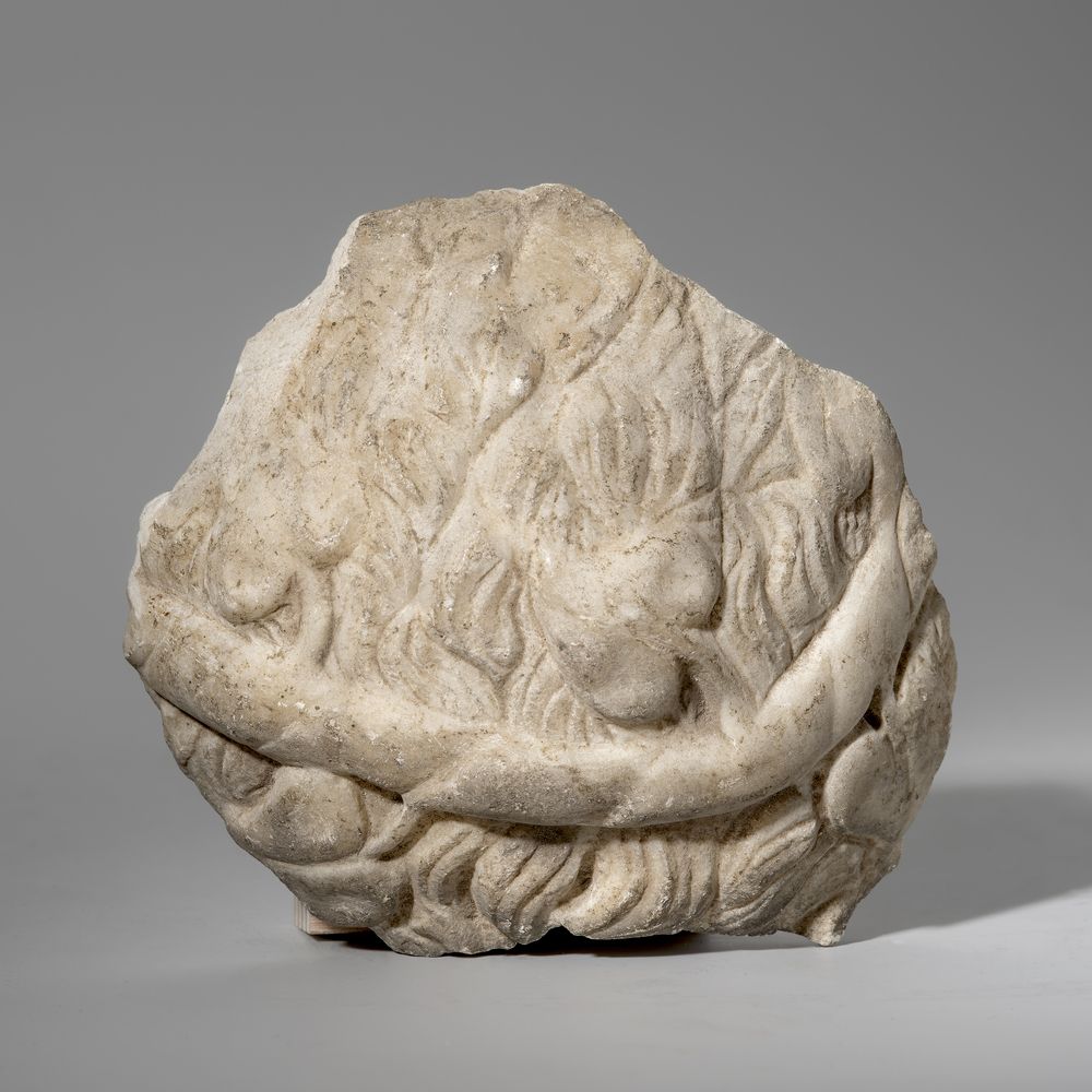 Crâne couronné de feuilles