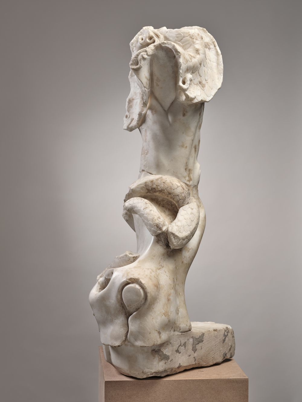 Tronc d’arbre, serpent et égide.