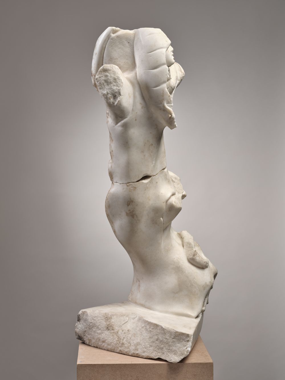 Tronc d’arbre, serpent et égide