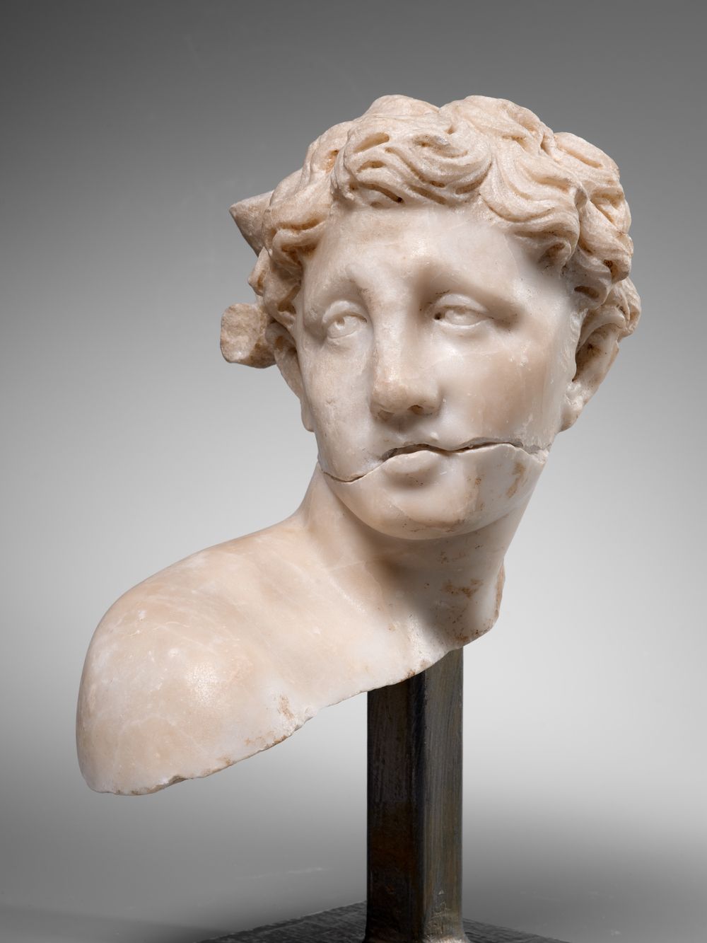 Tête idéale juvénile masculine