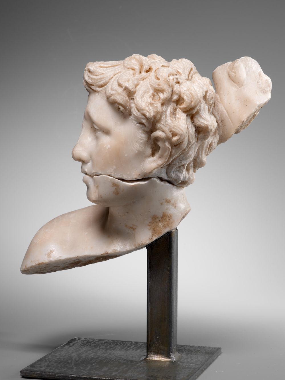 Tête idéale juvénile masculine