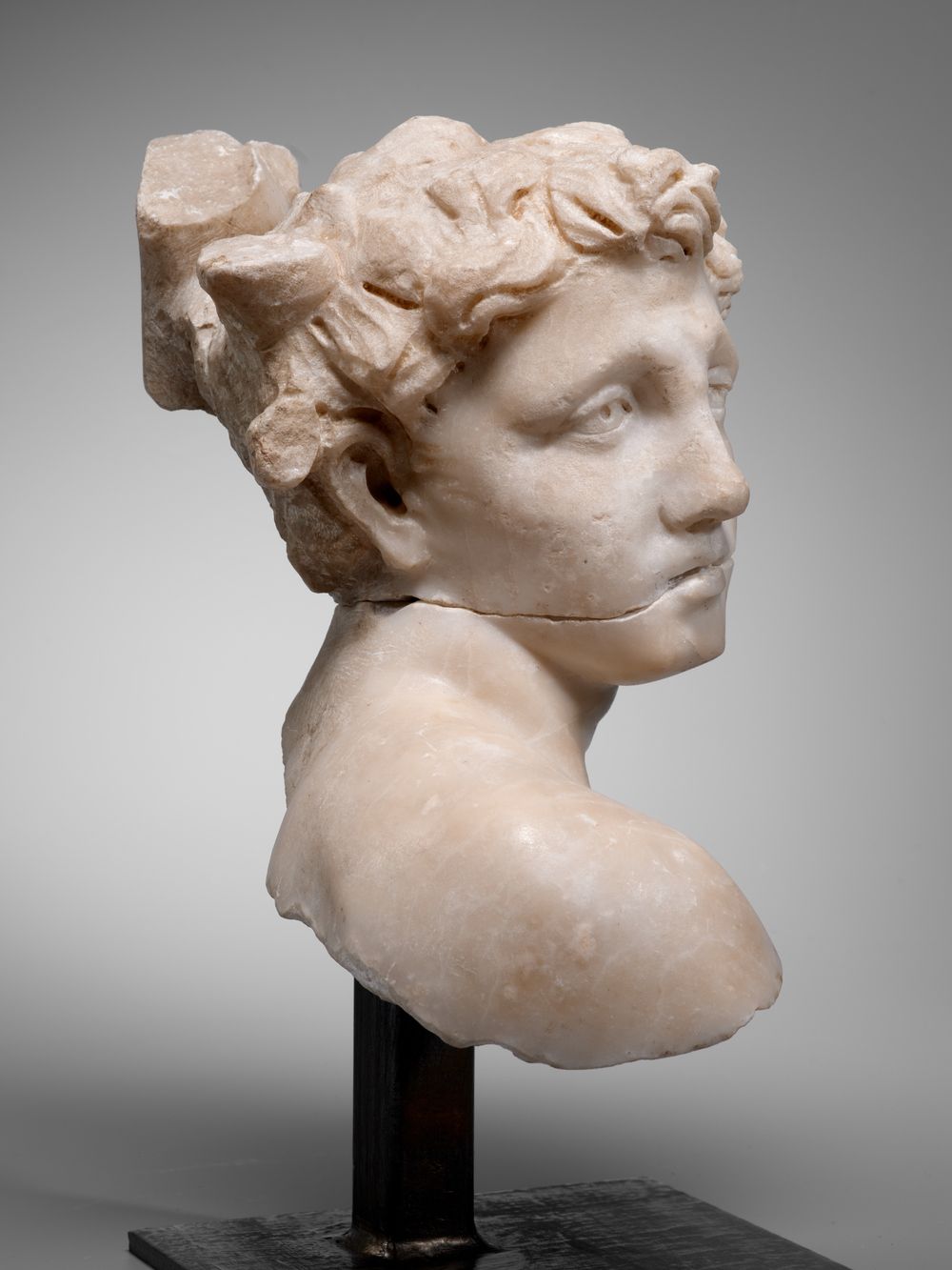 Tête idéale juvénile masculine