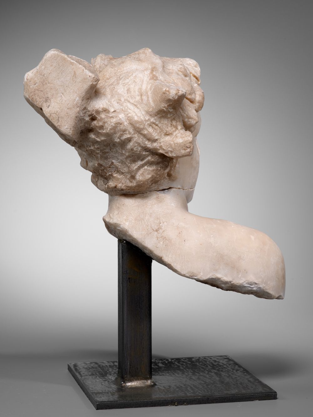 Tête idéale juvénile masculine