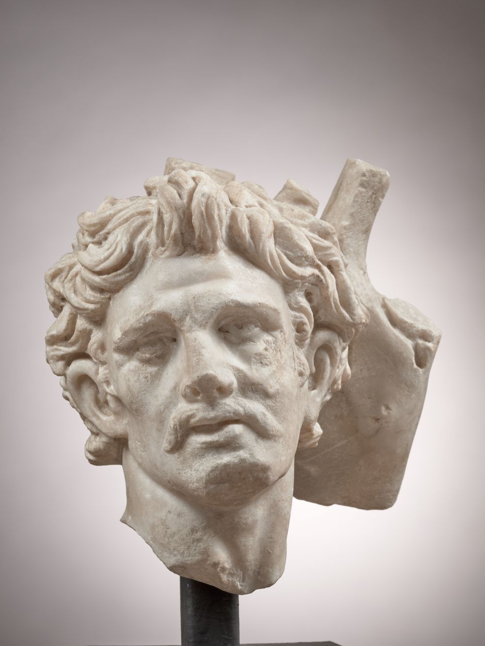 Tête d’un galate ou d’un barbare