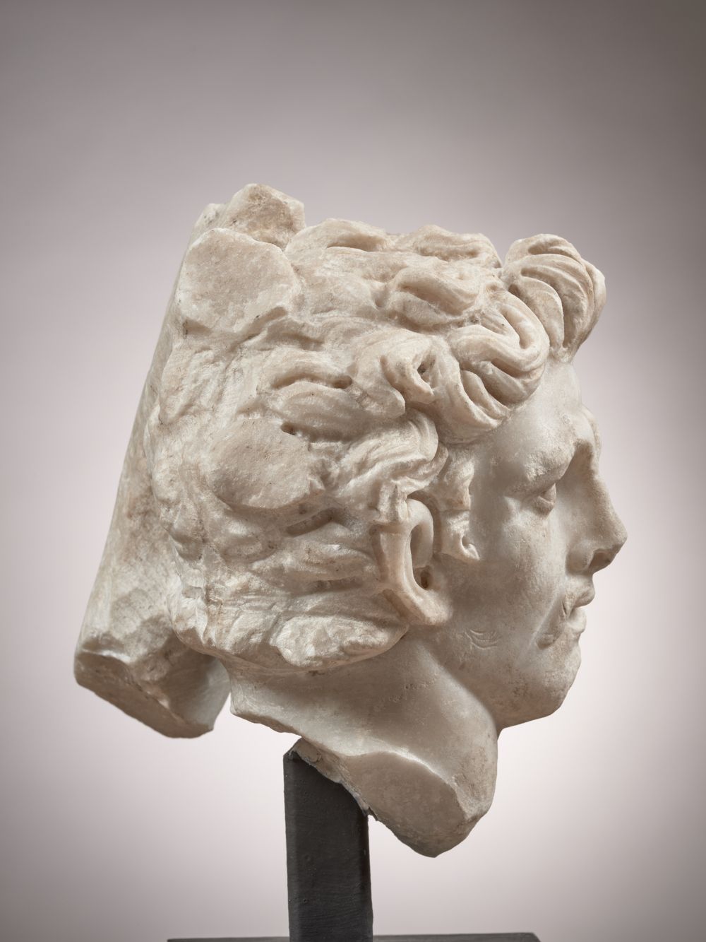 Tête d’un galate ou d’un barbare