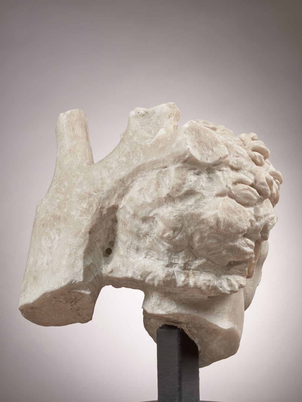 Tête d’un galate ou d’un barbare