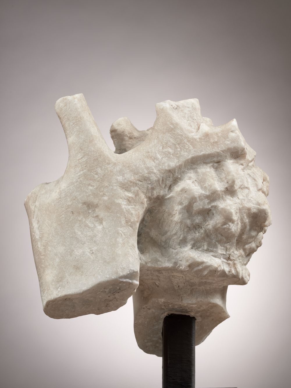 Tête d’un galate ou d’un barbare