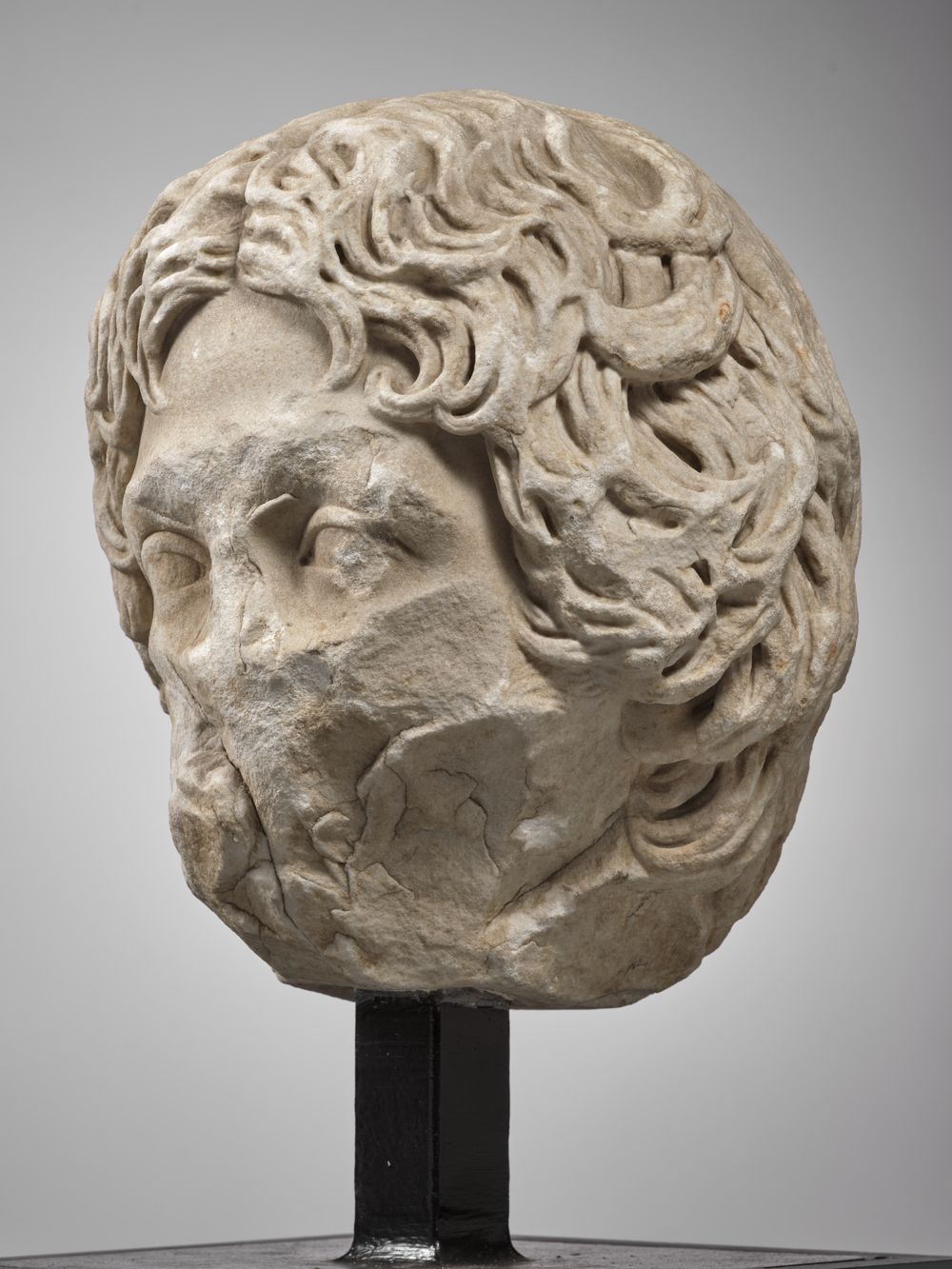 Tête de jeune homme anciennement dite 