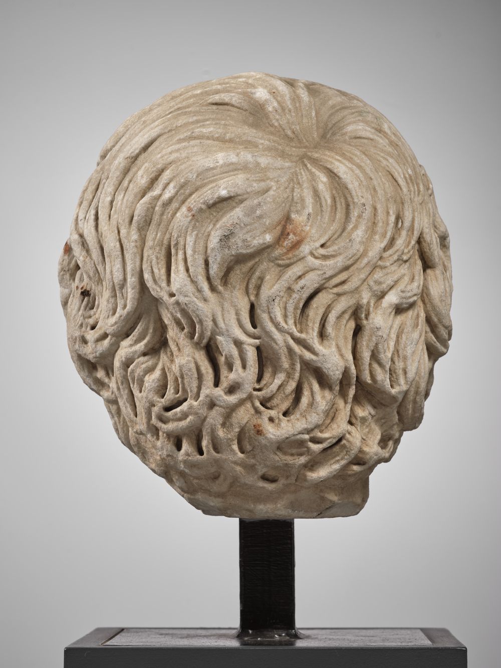 Tête de jeune homme anciennement dite 