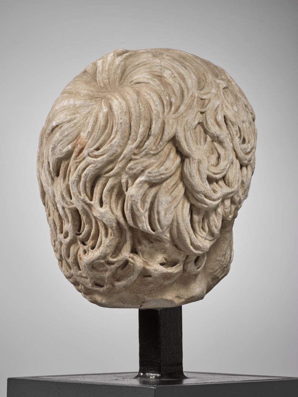 Tête de jeune homme anciennement dite 