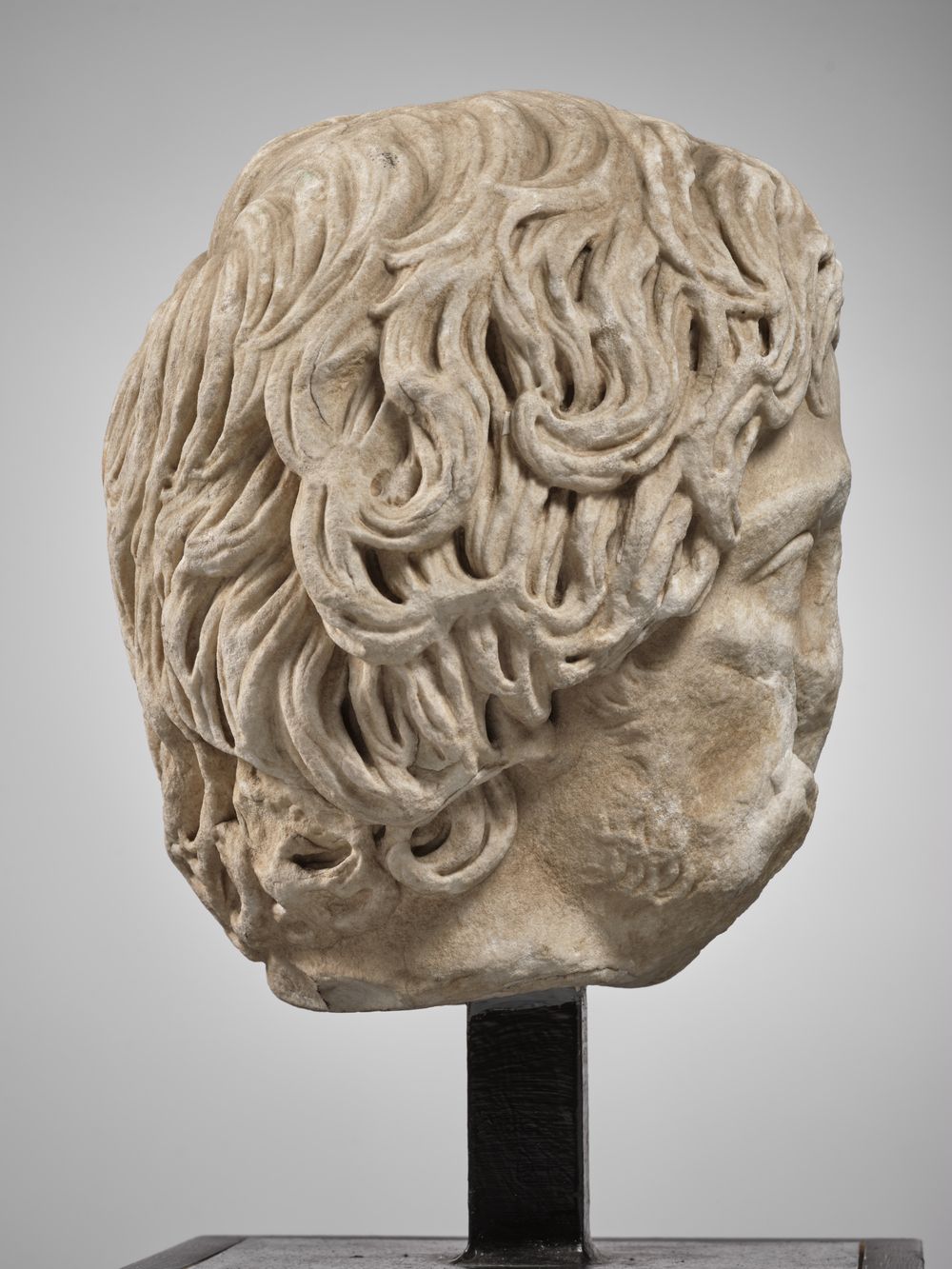 Tête de jeune homme anciennement dite 