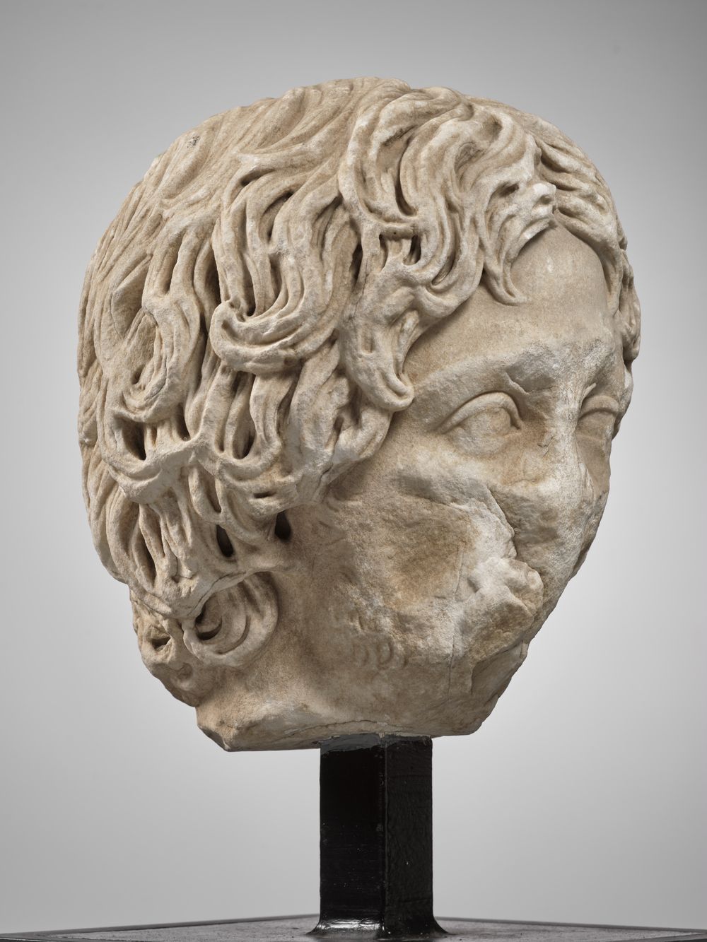 Tête de jeune homme anciennement dite 