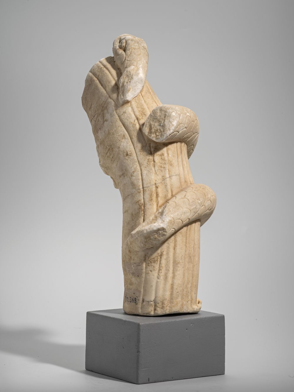 Serpent enroulé autour d’une branche