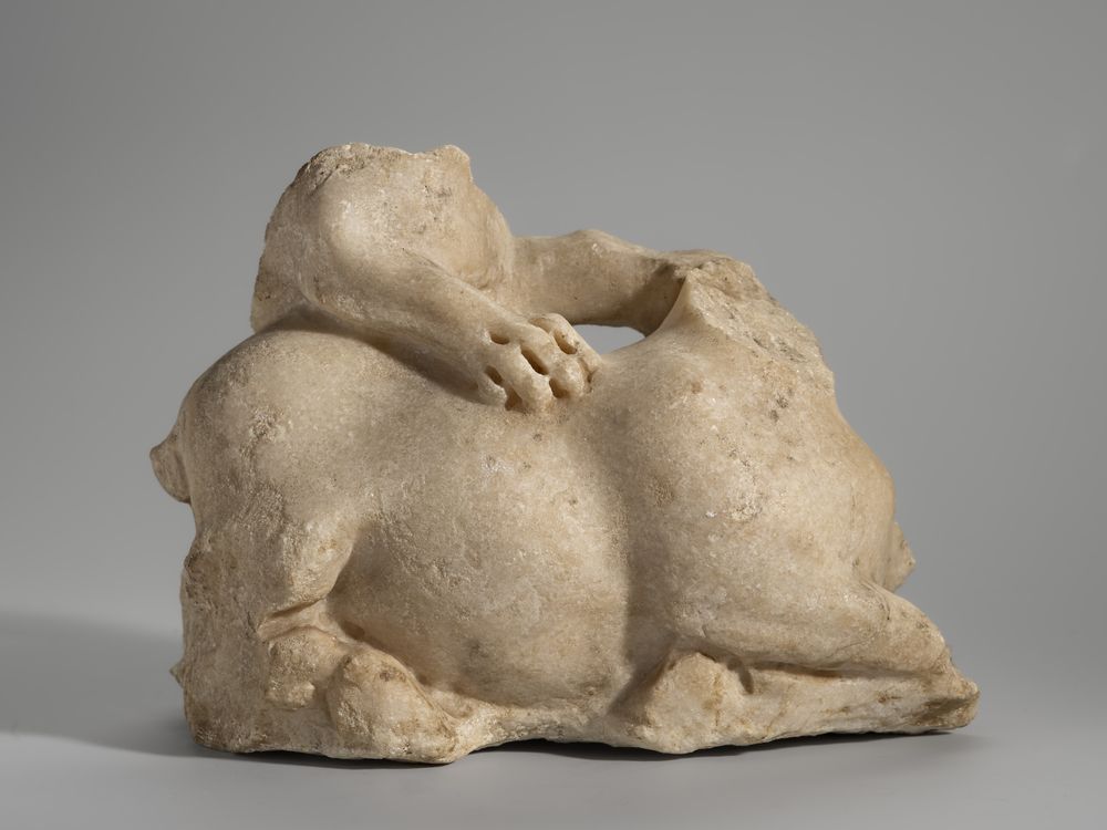 Fauve attaquant un taureau