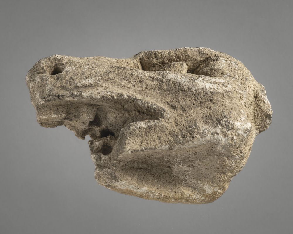 Tête d’animal fantastique