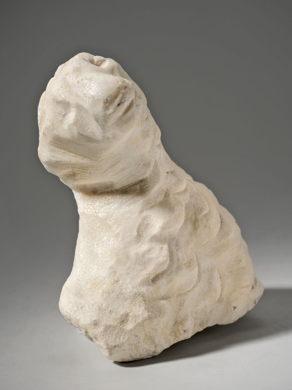 Chèvre ou bélier