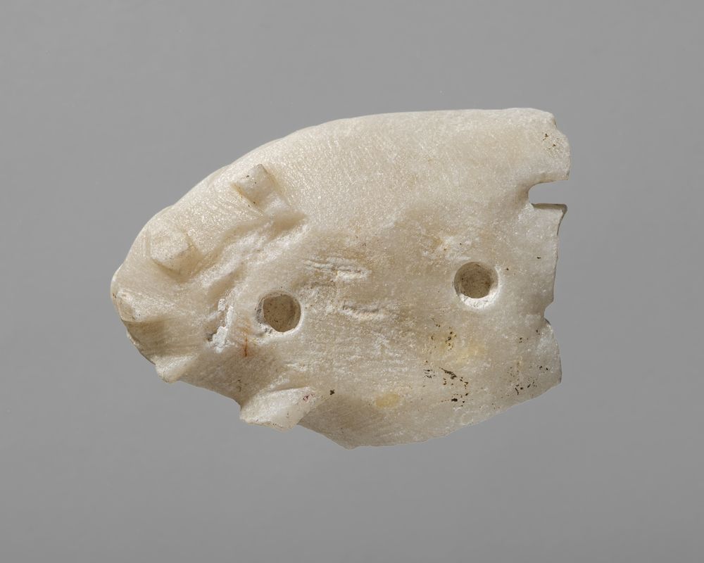 Fragment d’aile