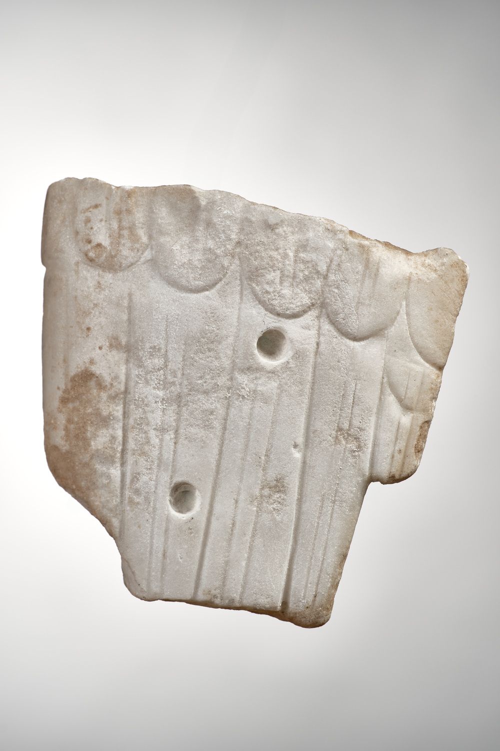Fragment d’aile du cycle d’Hercule (?)