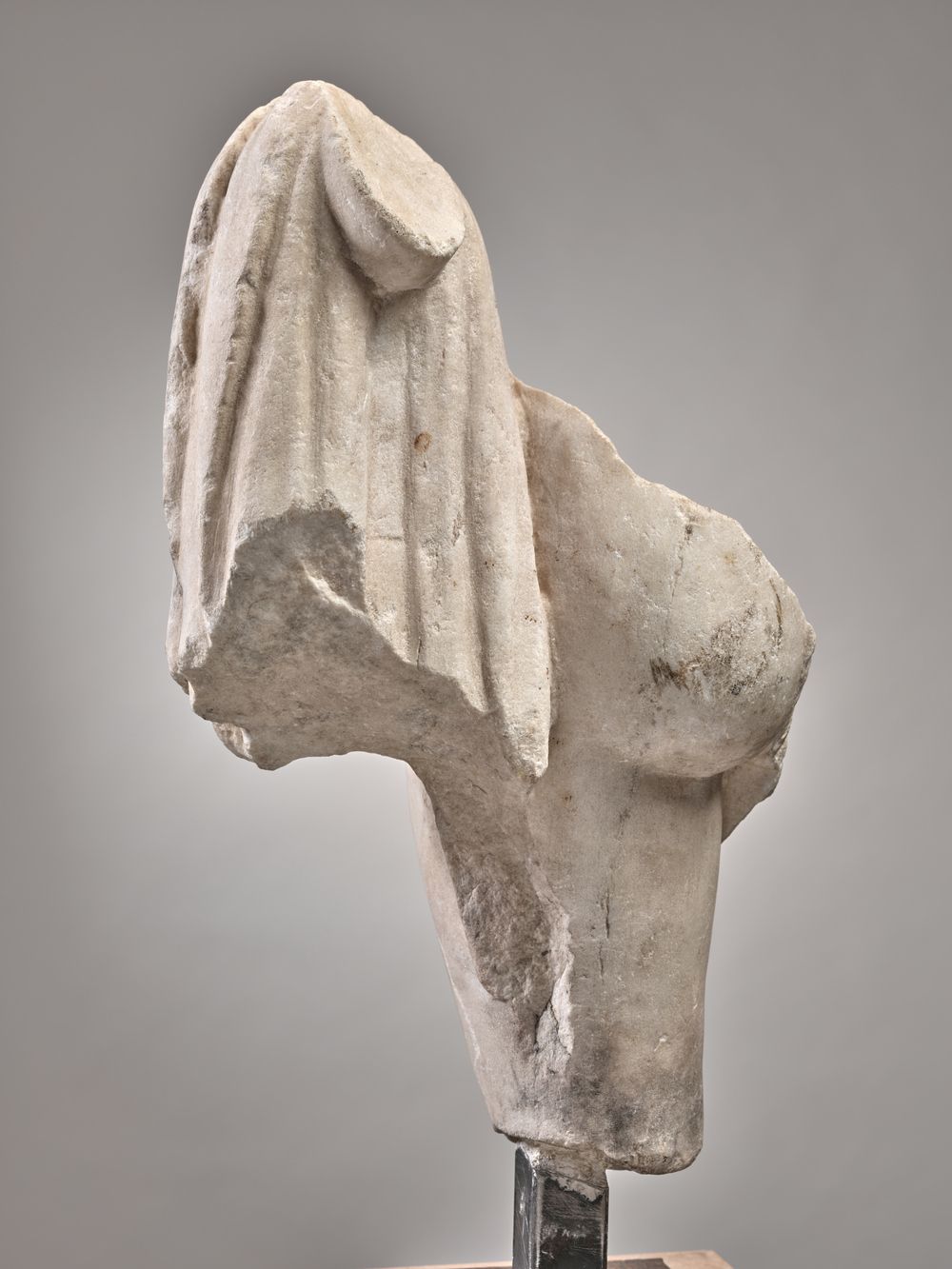 Personnage debout tenant un chien