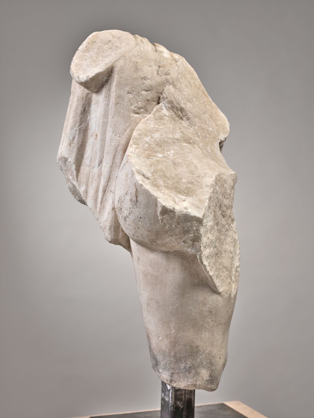 Personnage debout tenant un chien