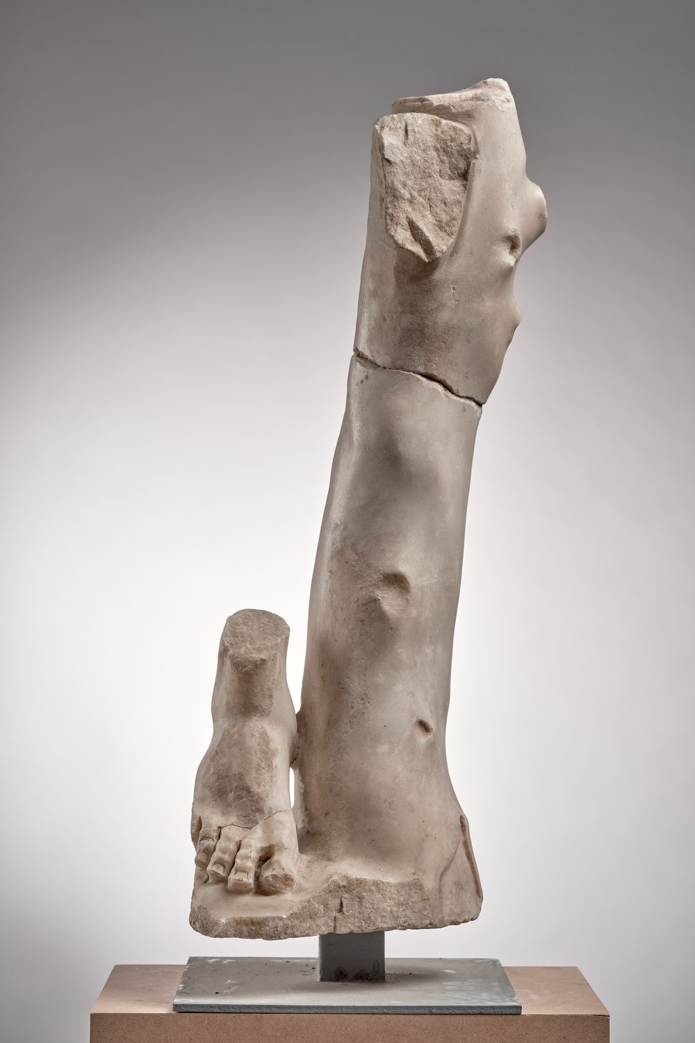 Pied contre un  tronc d’arbre