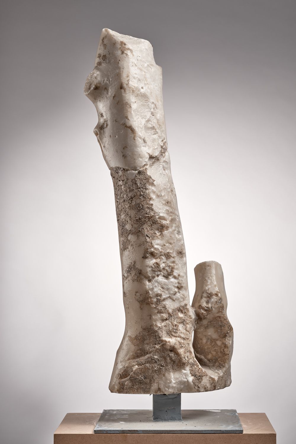 Pied contre un  tronc d’arbre